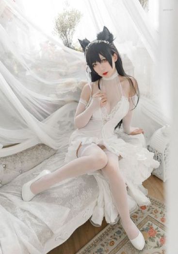 繁花国语版免费观看全集_1080高清在线